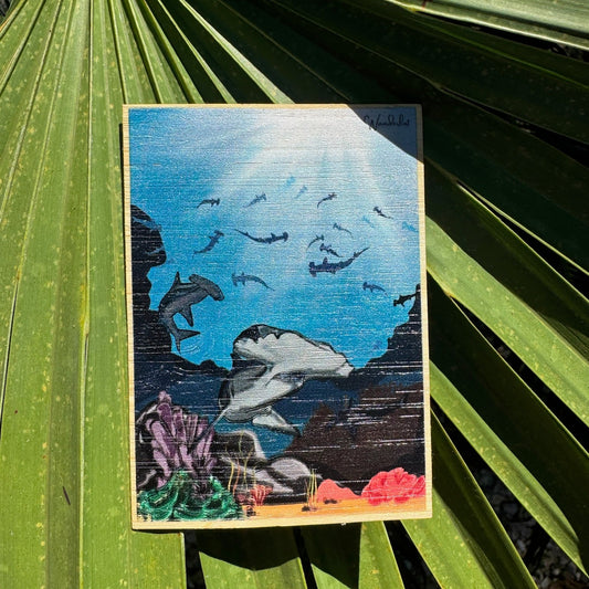 Hammerhead - Bamboo Sticker