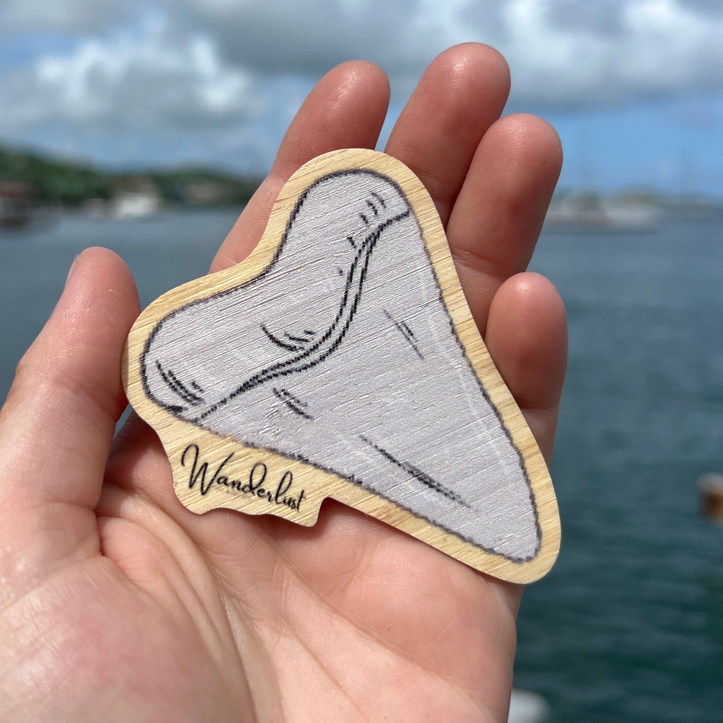 Megalodon Tooth - Bamboo Sticker