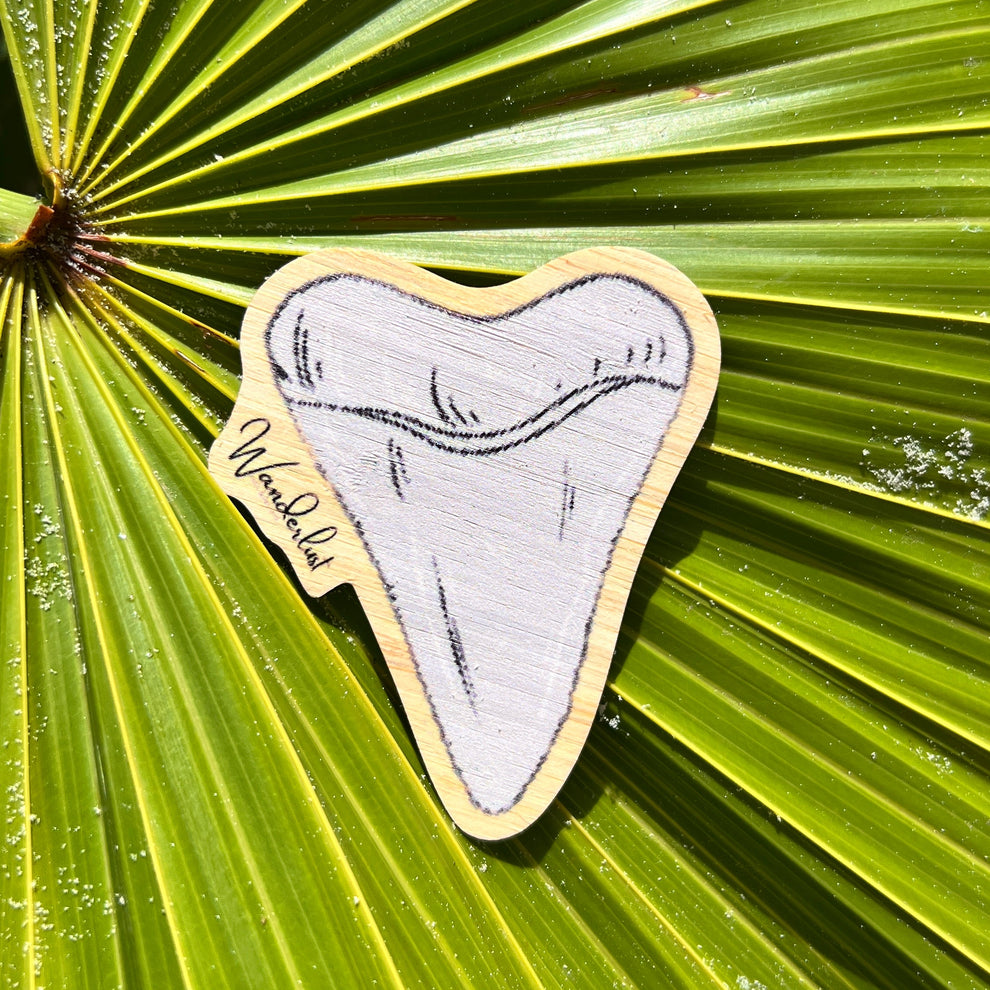 Megalodon Tooth - Bamboo Sticker – Wanderlust Hats & Apparel