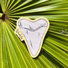 Megalodon Tooth - Bamboo Sticker