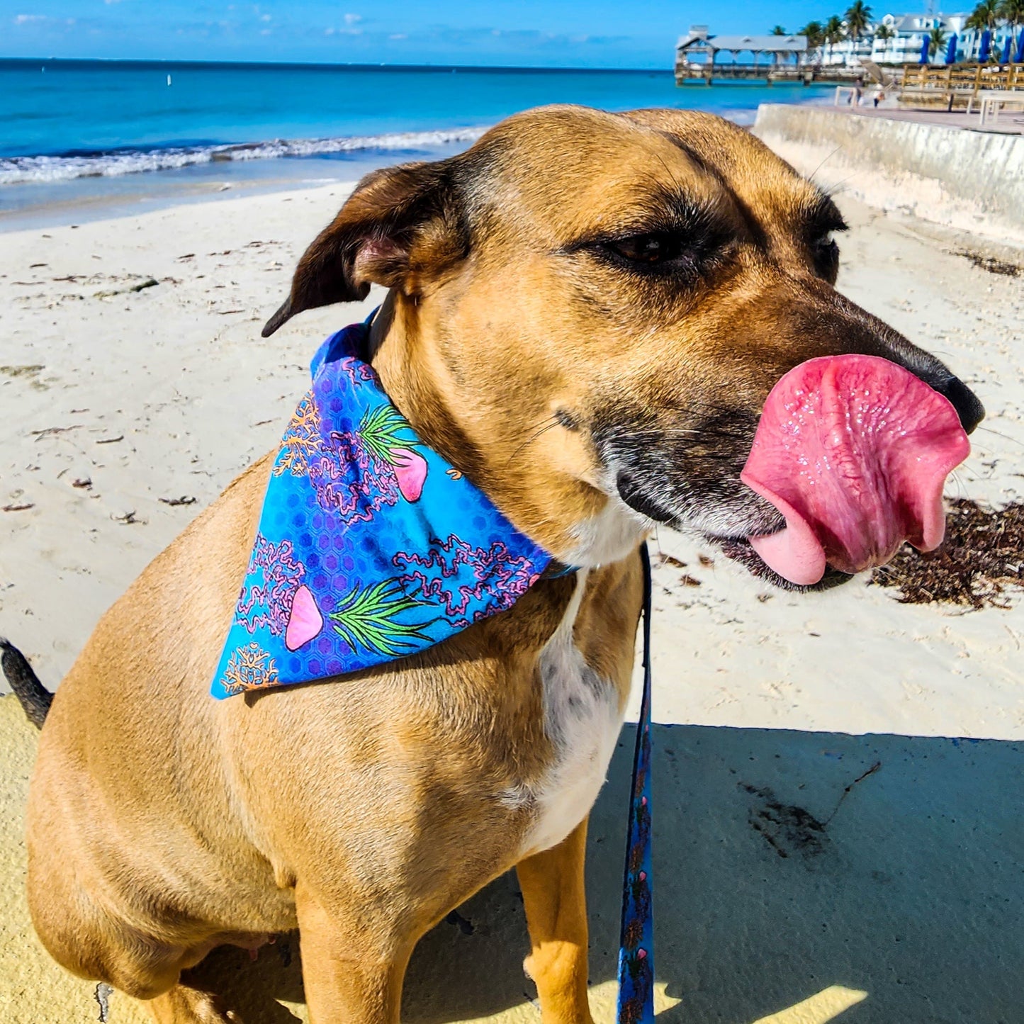 Reversible Pet Bandana