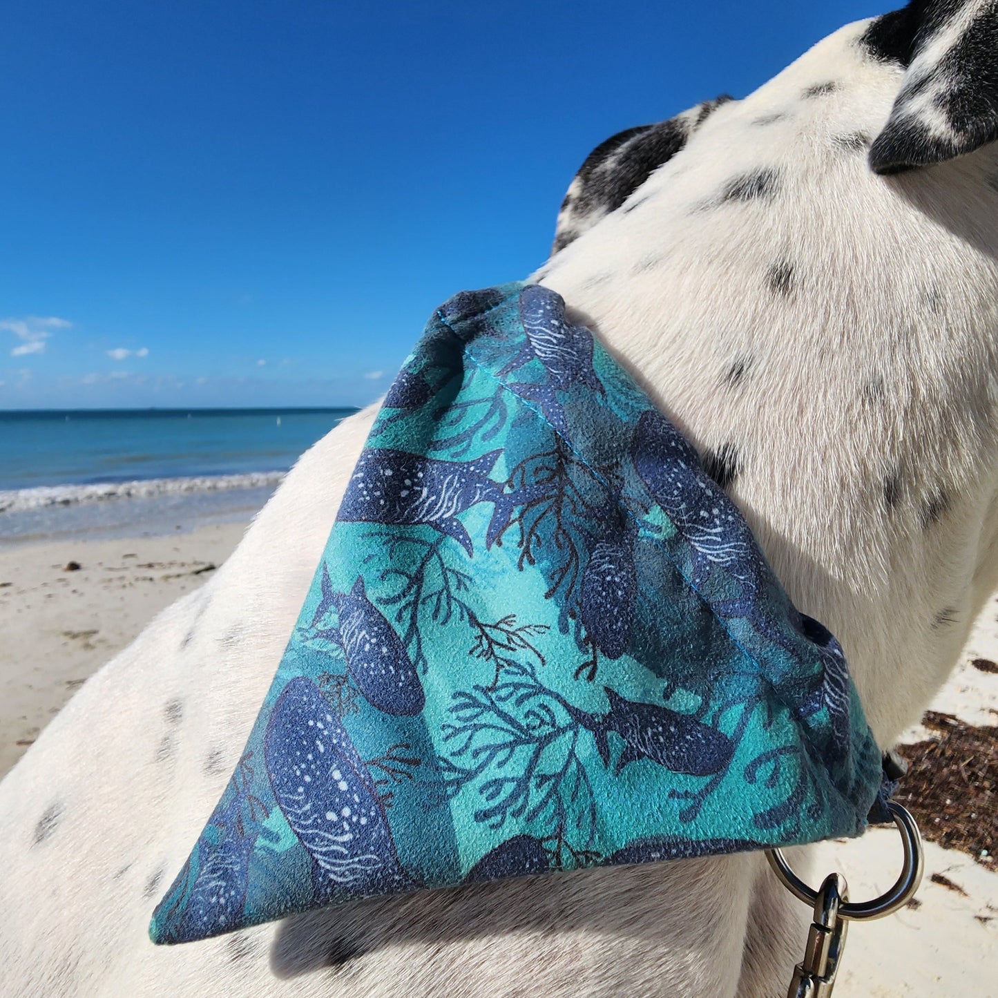 Reversible Pet Bandana