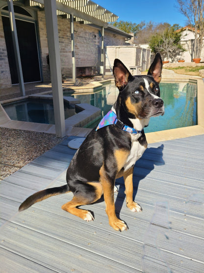 Reversible Pet Bandana