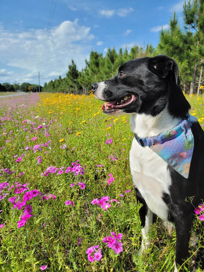 Reversible Pet Bandana